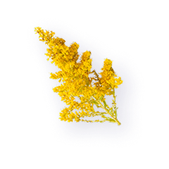 Részlet 1